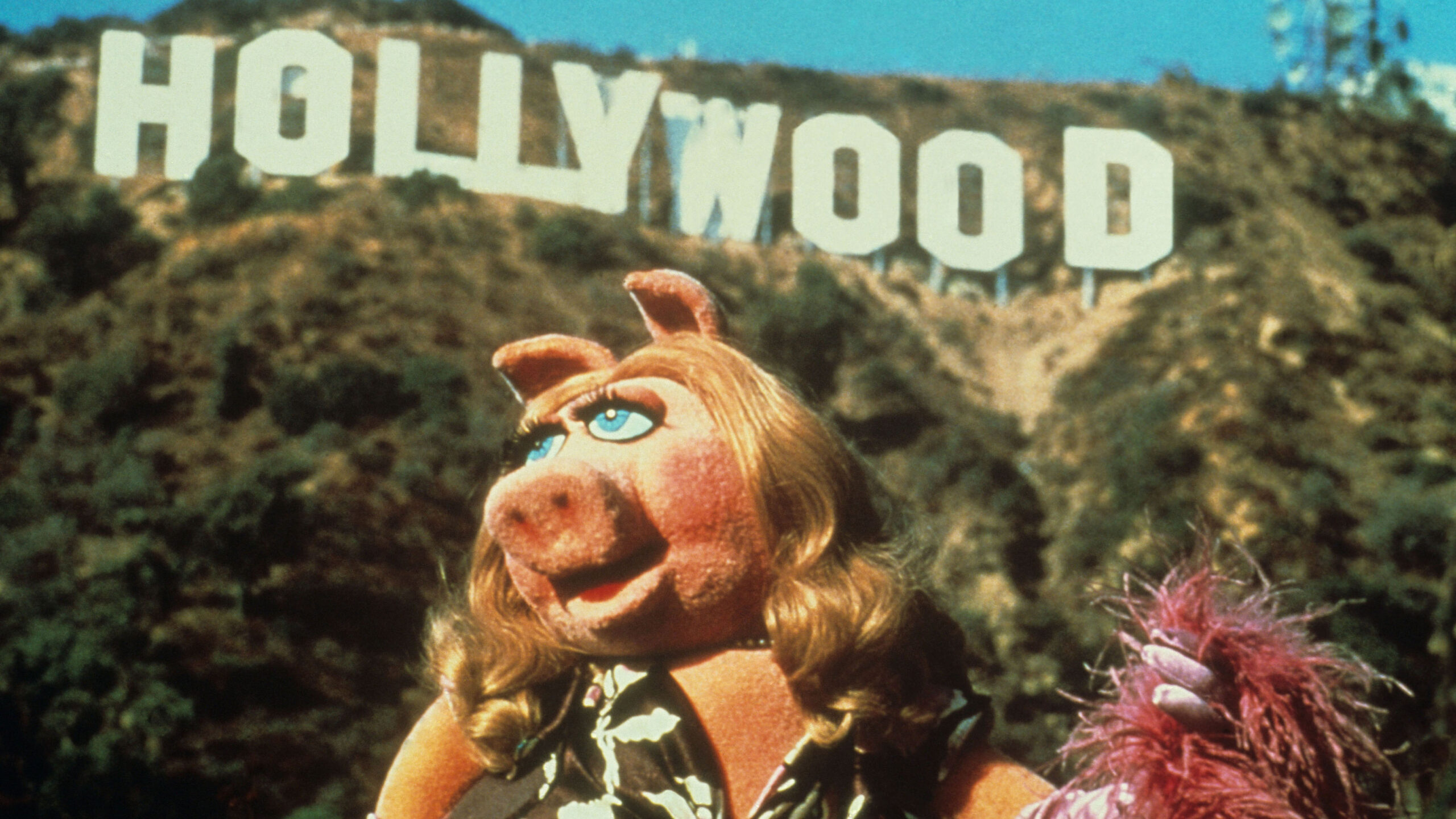 Jennifer Lawrence and Emma Stone Are Giving Miss Piggy Her Own Movie