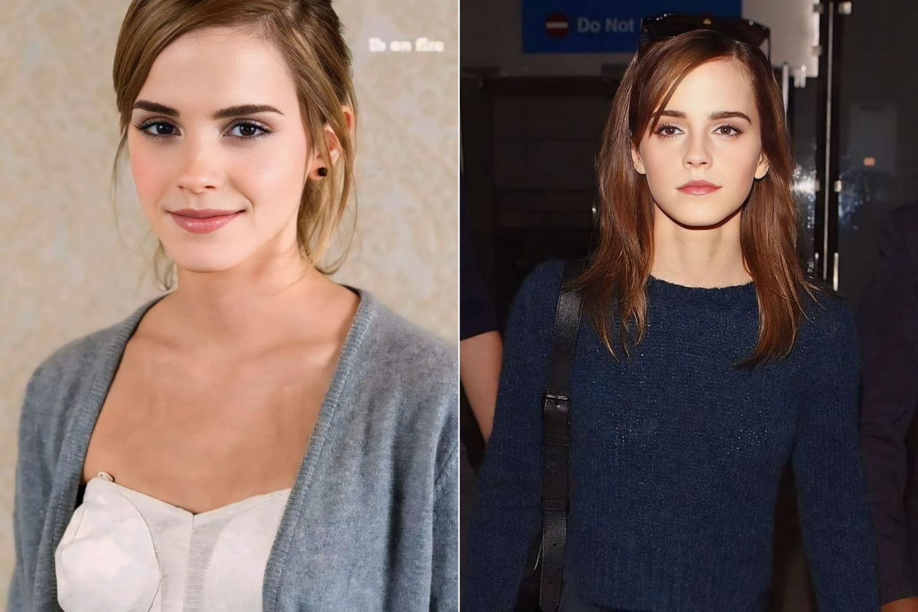 Seth Rogen Addresses Rumors That Emma Watson Left the Set of 'This Is the End'
