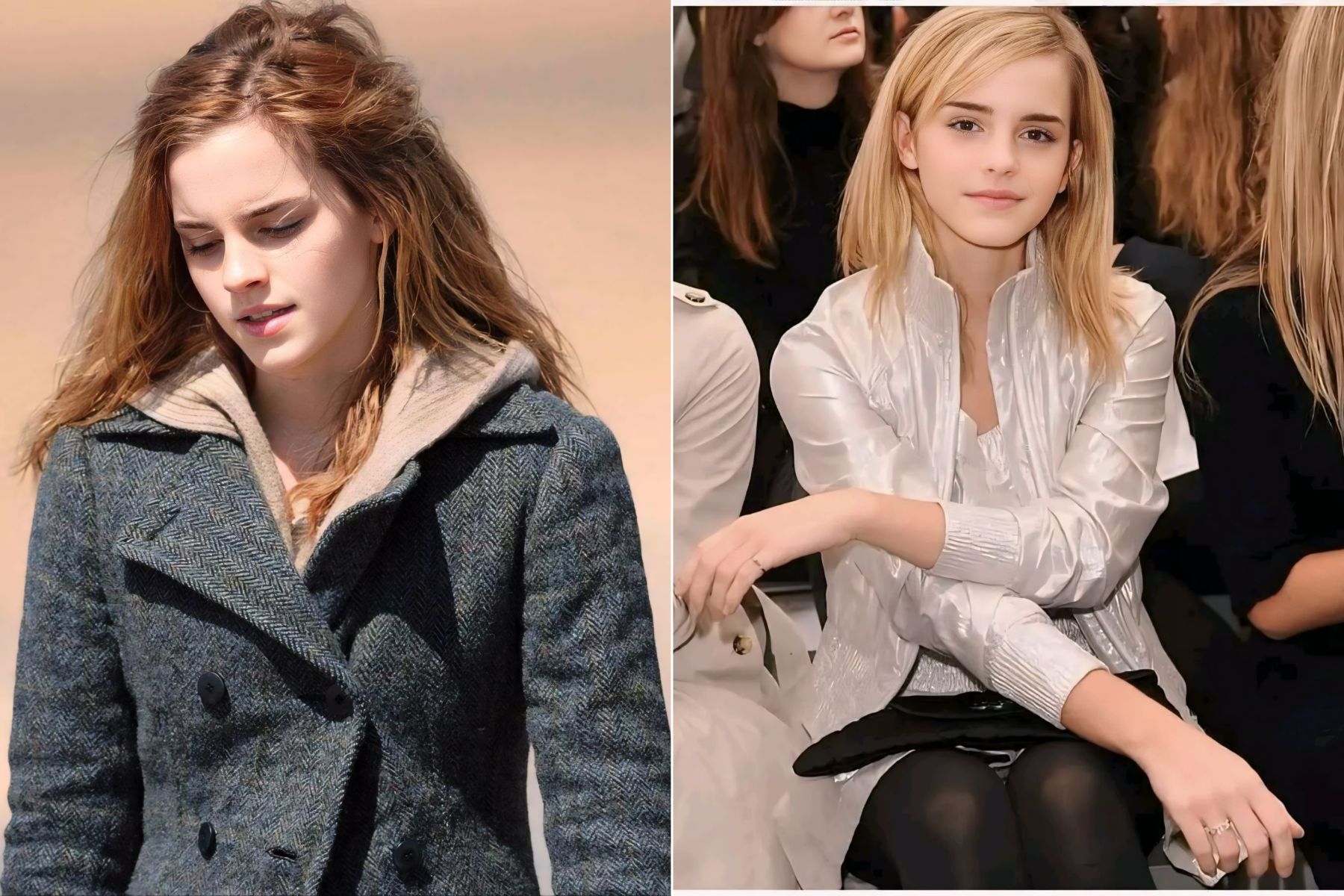 Emma Watson passed on the lead role in Disney’s live-action Cinderella