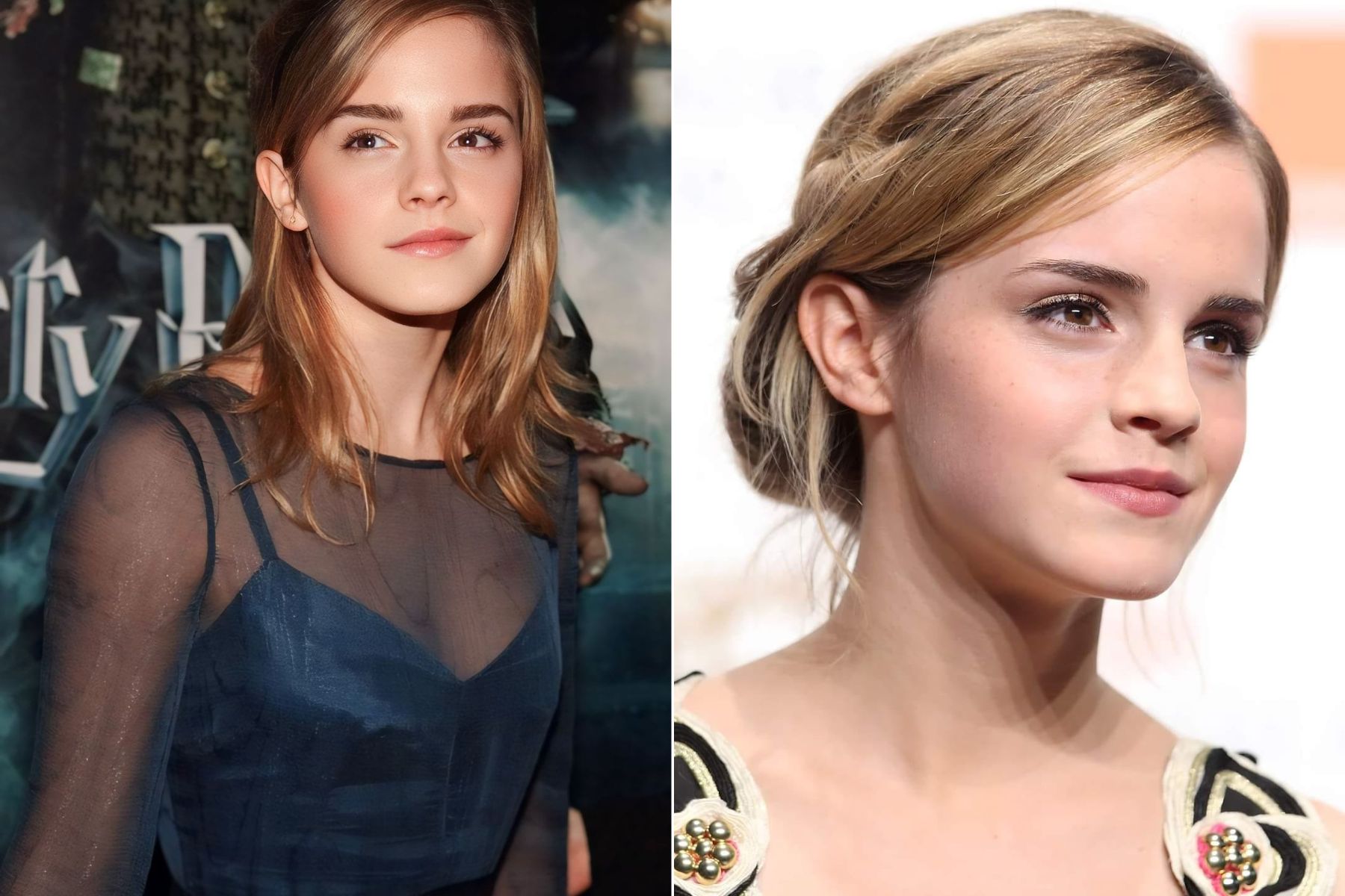 J.K. Rowling criticizes Daniel Radcliffe and Emma Watson over support for trans rights