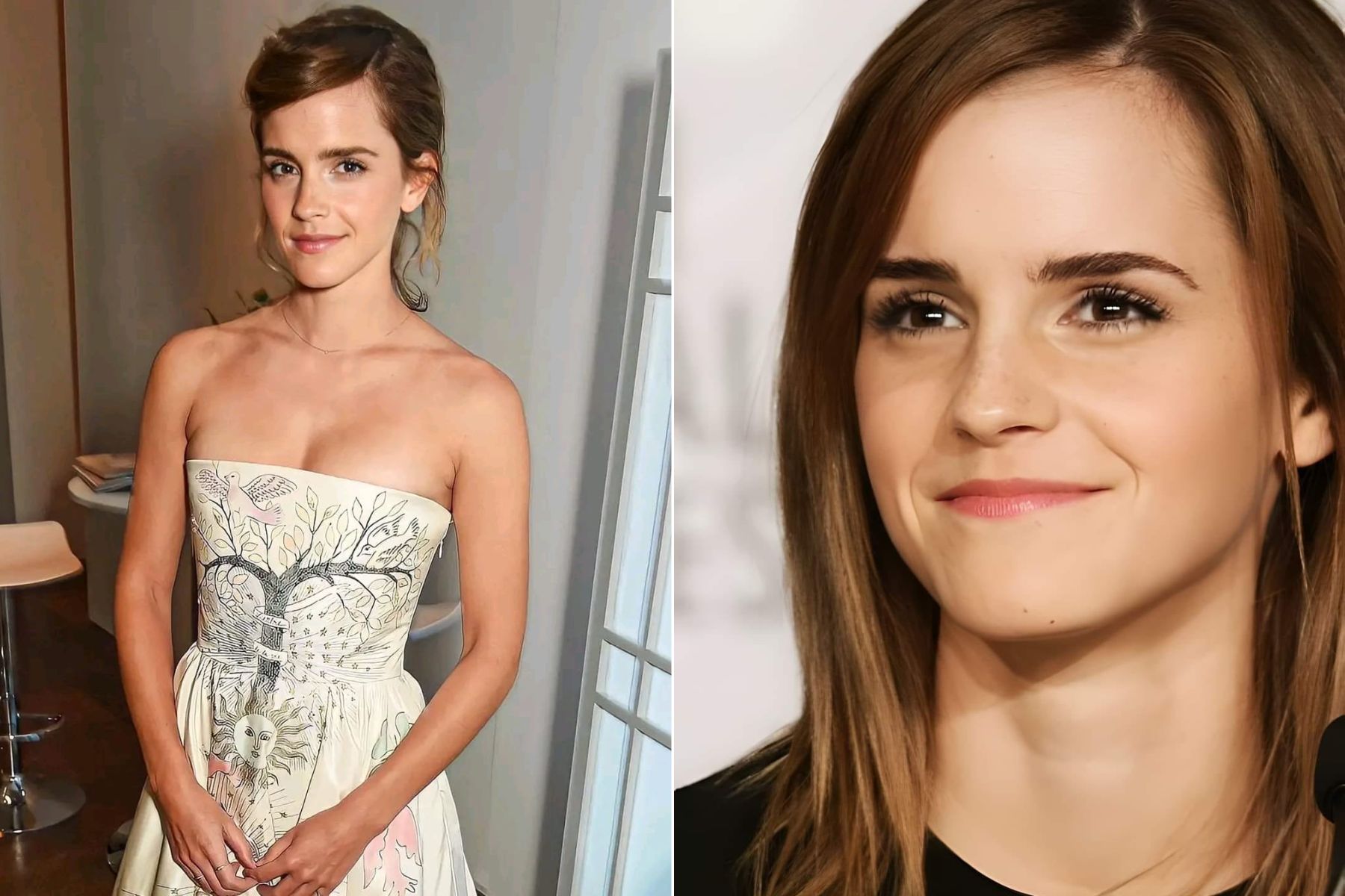 Seth Rogen Explains Why Emma Watson Left the This Is the End Set