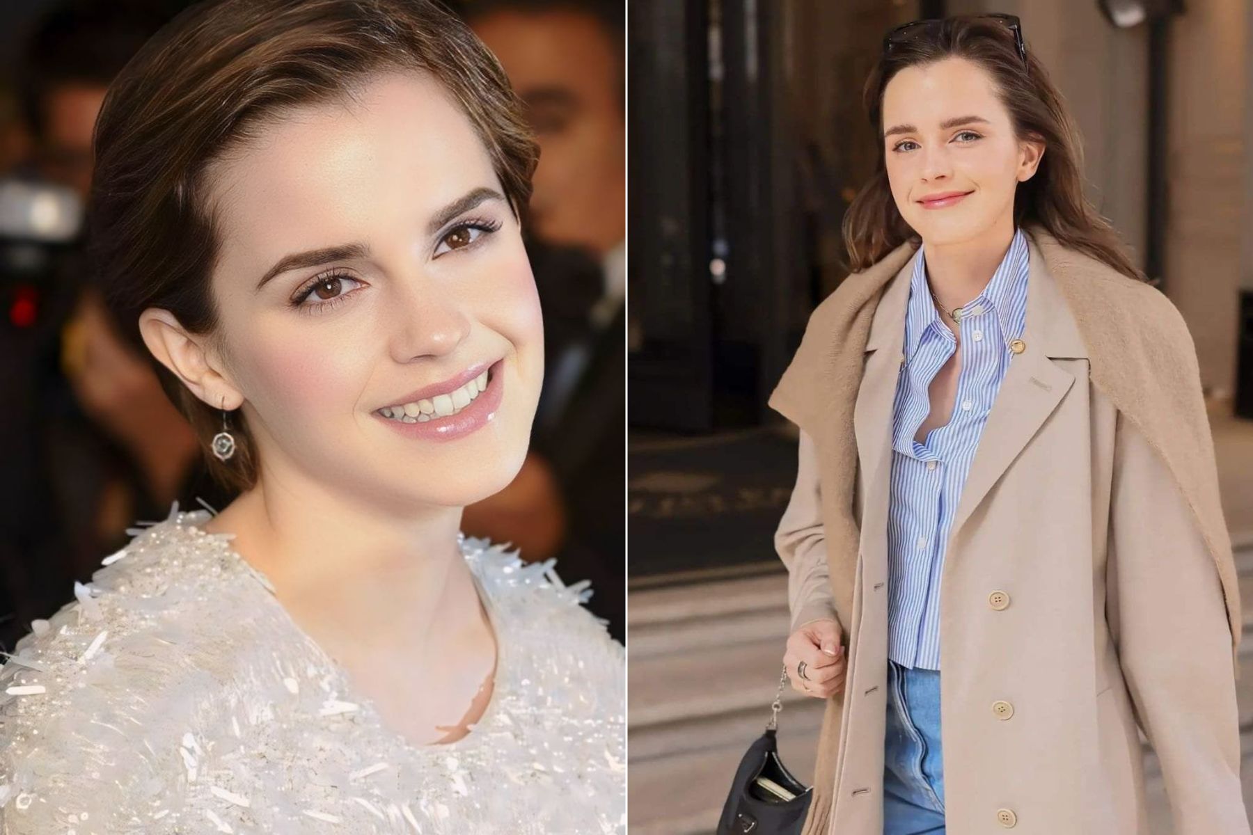Emma Watson's Film Characters Sorted Into Hogwarts Houses