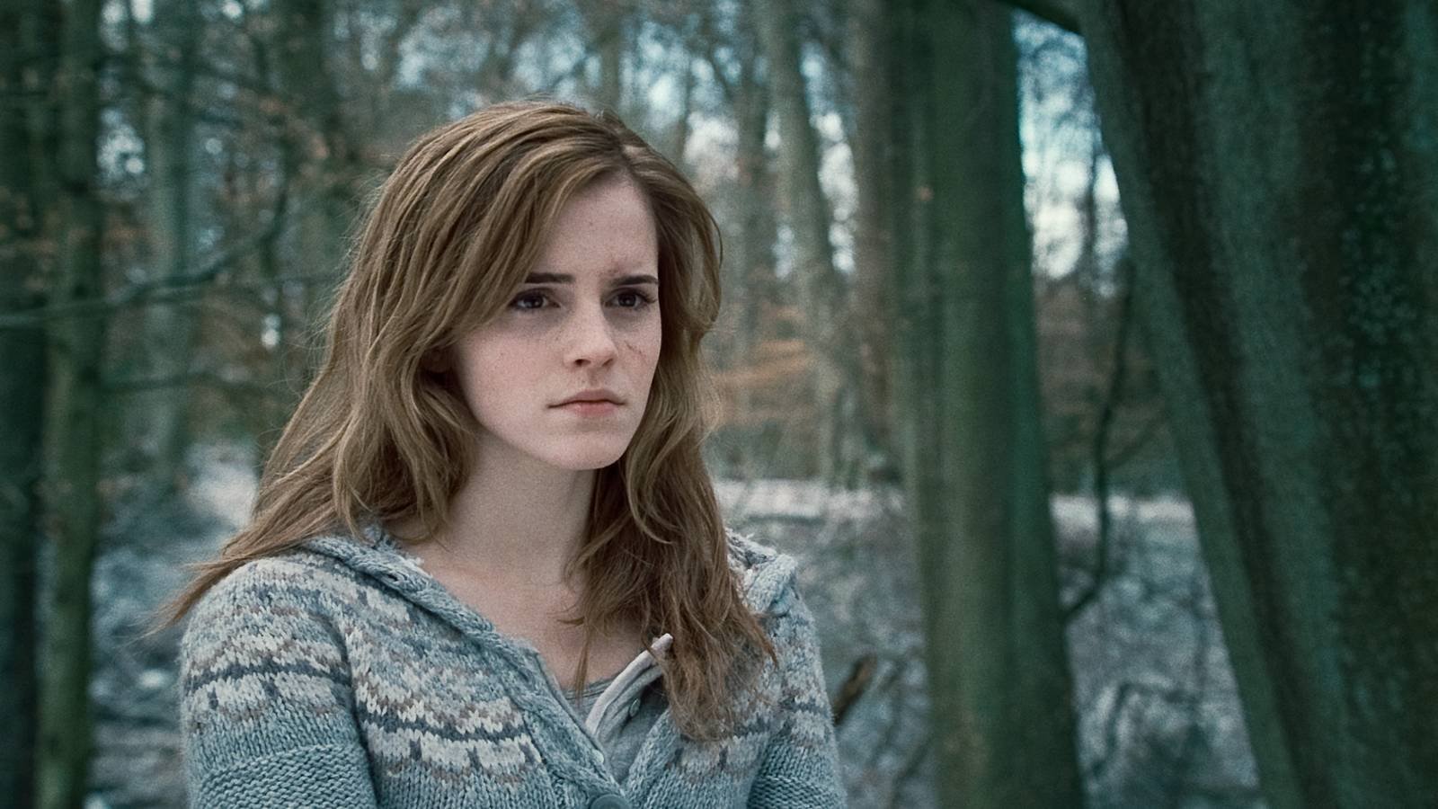 She Really Is the Brightest Witch of Her Age! Times Hermione Granger Literally Saved the Wizarding World